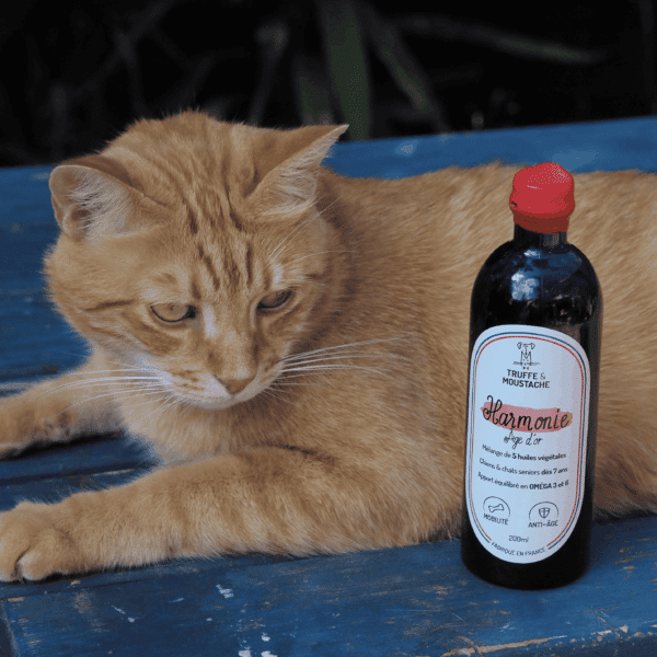 Huile végétale Harmonie âge d'or pour seniors chat roux aliment complémentaire omega 3 et 6