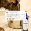 huile végéale harmonie pour chien et chat avis