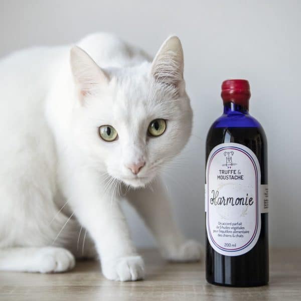 huiles végétales pour chiens et chats : complément alimentaire oméga 3 et 6