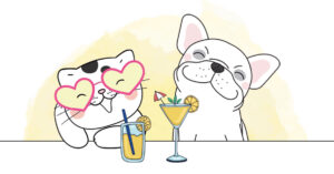 préparer vacances avec son animal chien chat