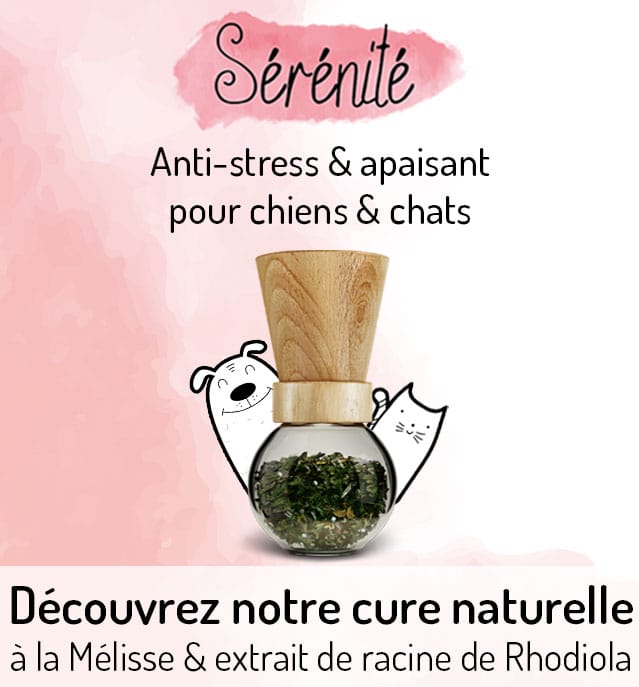 Découvrez Serenite Cure Anti Stress Apaisant Chiens Chats