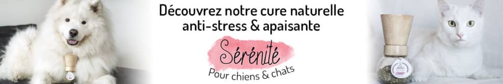 Découvrez Serenite Cure Anti Stress Apaisant Chiens Chats