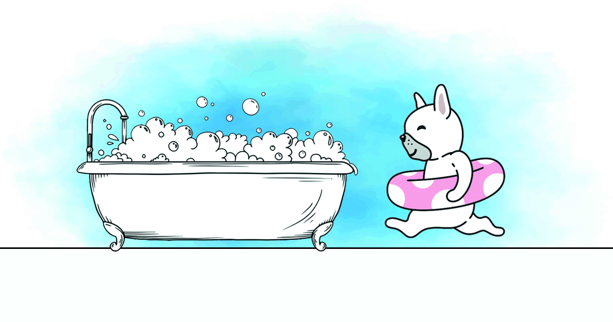 bain pour chien