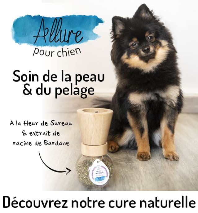 Découvrez Allure Soin Peau Pelage Chien