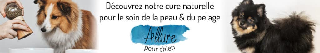 Découvrez Allure Soin Peau Pelage Chien