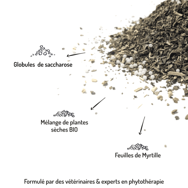 Cure longue moulin compléments alimentaires Pureté pour chien et chat points forts