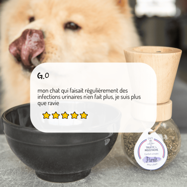Cure longue moulin compléments alimentaires Pureté pour chien et chat avis