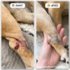 Baume cicatrisant Rescousse pour chiens avant/après