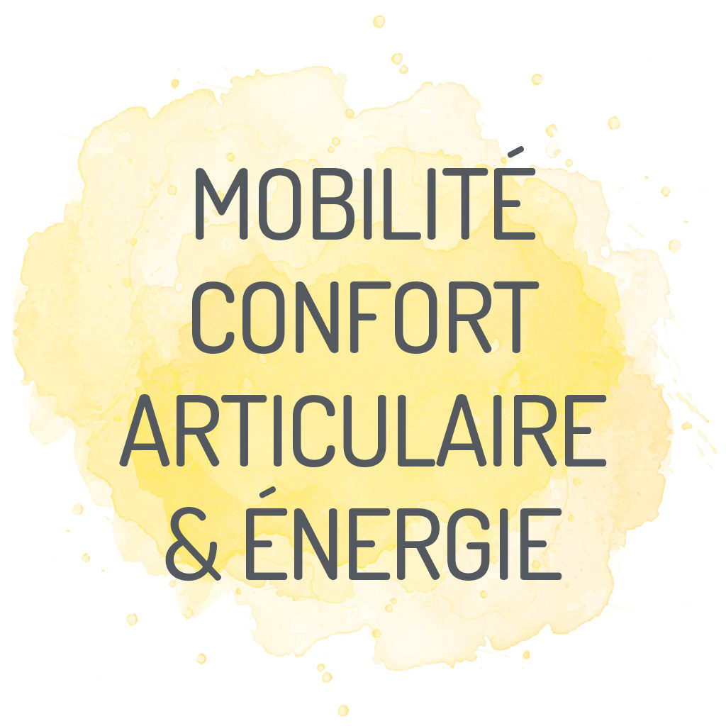 complements alimentaires mobilite confort articulaire energie chien chat
