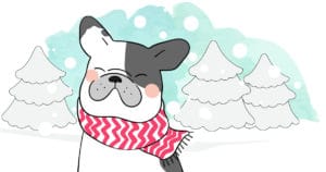 Illustration tenir son chien au chaud tout l'hiver