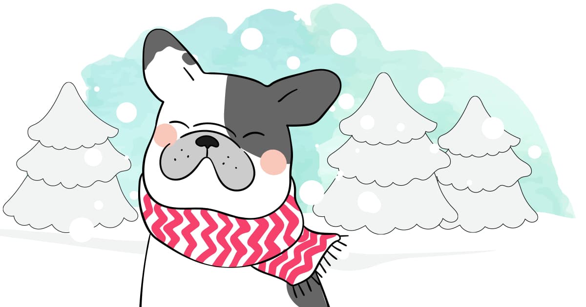 Illustration tenir son chien au chaud tout l'hiver