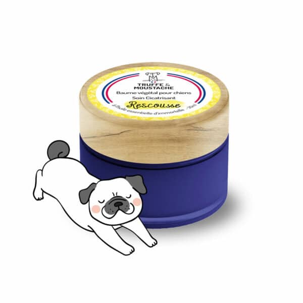 Baume De Soin Cicatrisant Pour Chiens Rescousse Truffe Moustache baume-de-soin-cicatrisant-pour-chiens-rescousse-truffe-moustache