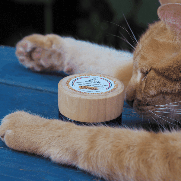 baume hydratant Velours pour la truffe et les coussinets pour chiens et chats