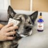 soin nettoyant naturel pour les yeux des chiens & des chats