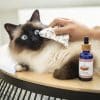 soin nettoyant naturel pour les yeux des chiens & des chats