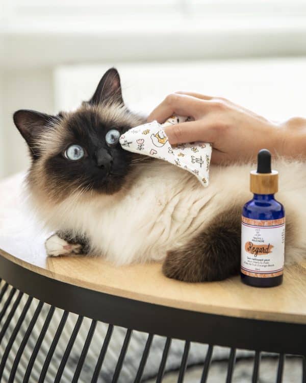 soin nettoyant naturel pour les yeux des chiens & des chats