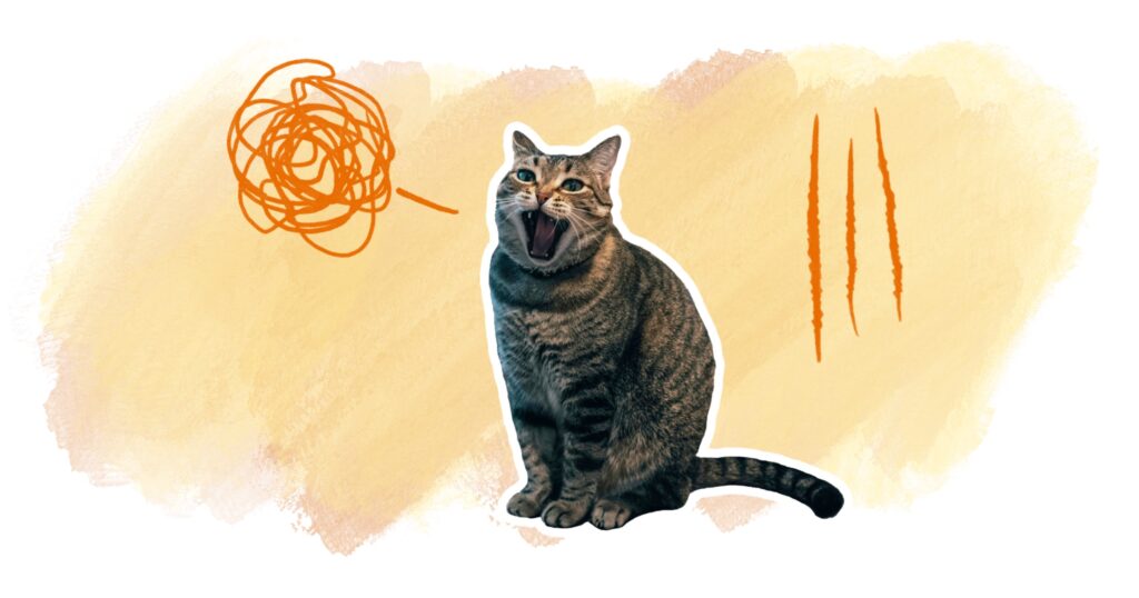 symptômes stress chat