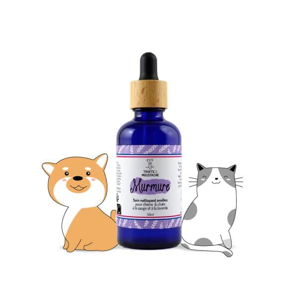 Soin nettoyant naturel chien chat halloween