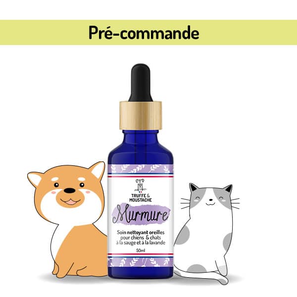 2 Recettes Naturelles Pour Nettoyer Les Oreilles De Votre Chien Ou Chat Truffe Moustache