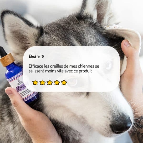 Nettoyant oreilles Murmure chien et chat