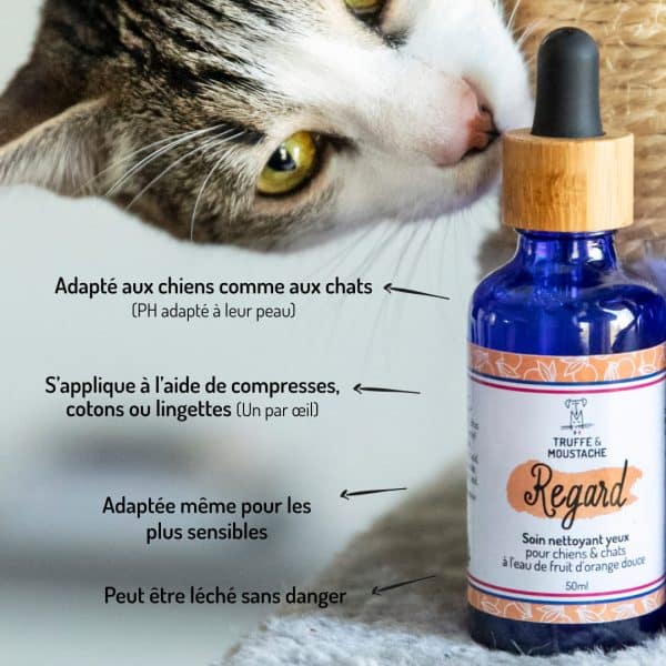 nettoyant regard yeux chiens et chats points forts