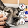 nettoyant regard yeux chiens et chats
