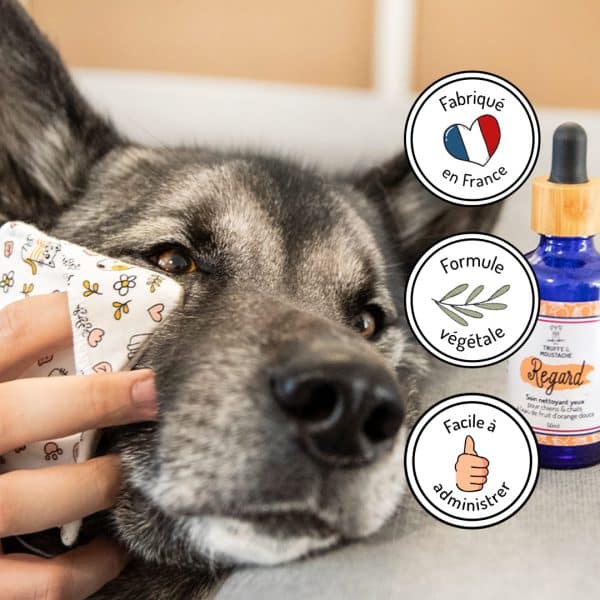 nettoyant regard yeux chiens et chats