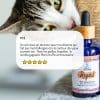 Nettoyant yeux Regard chien et chat