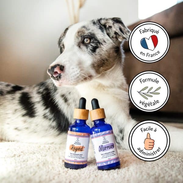 duo nettoyants naturels yeux et oreilles chiens et chats