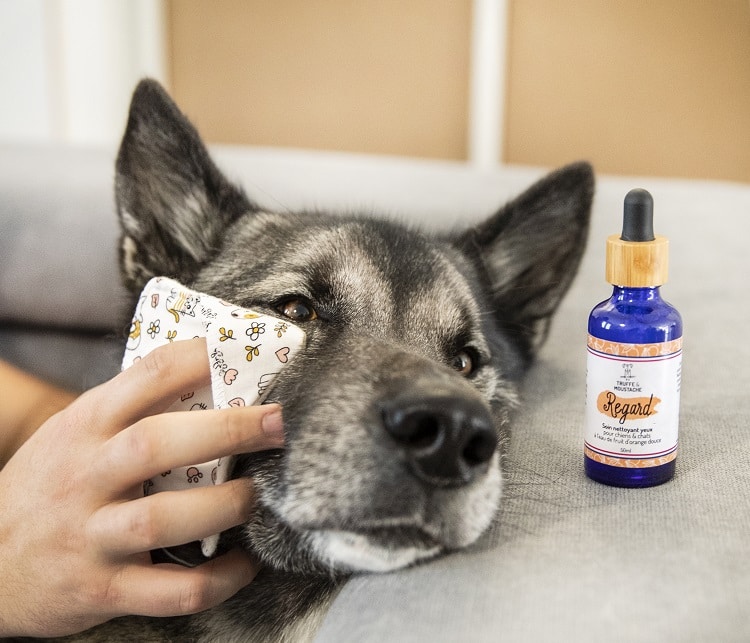 nettoyant regard naturel pour chiens et chats