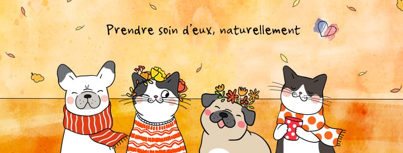 rentrée sans stress chien chat