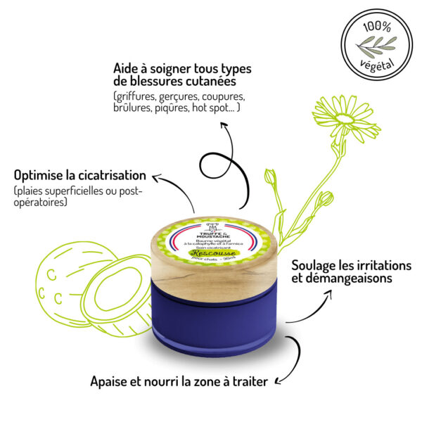 Baume cicatrisant Rescousse pour chats plantes et bienfaits