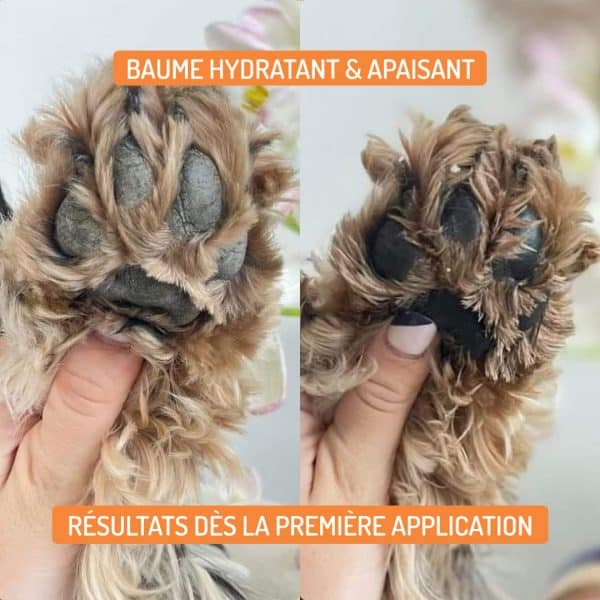 Baume hydratant et apaisant Velours pour chiens et chats