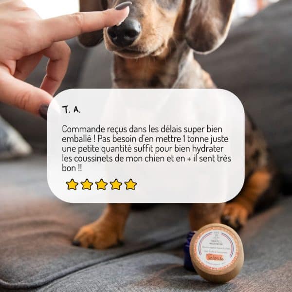Baume hydratant et apaisant Velours pour chiens et chats avis