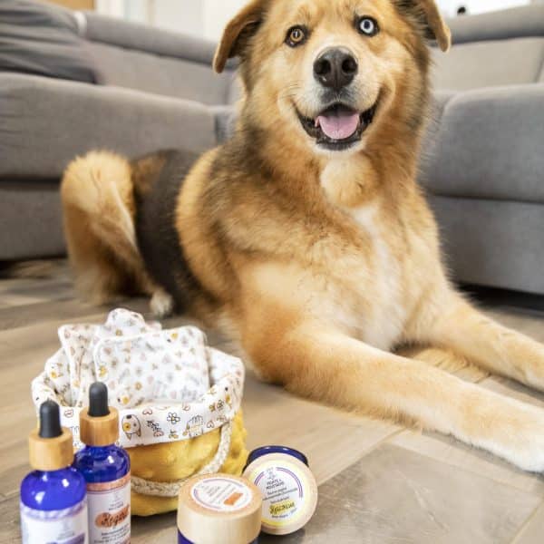 coffret de soins naturels pour chiens et chats