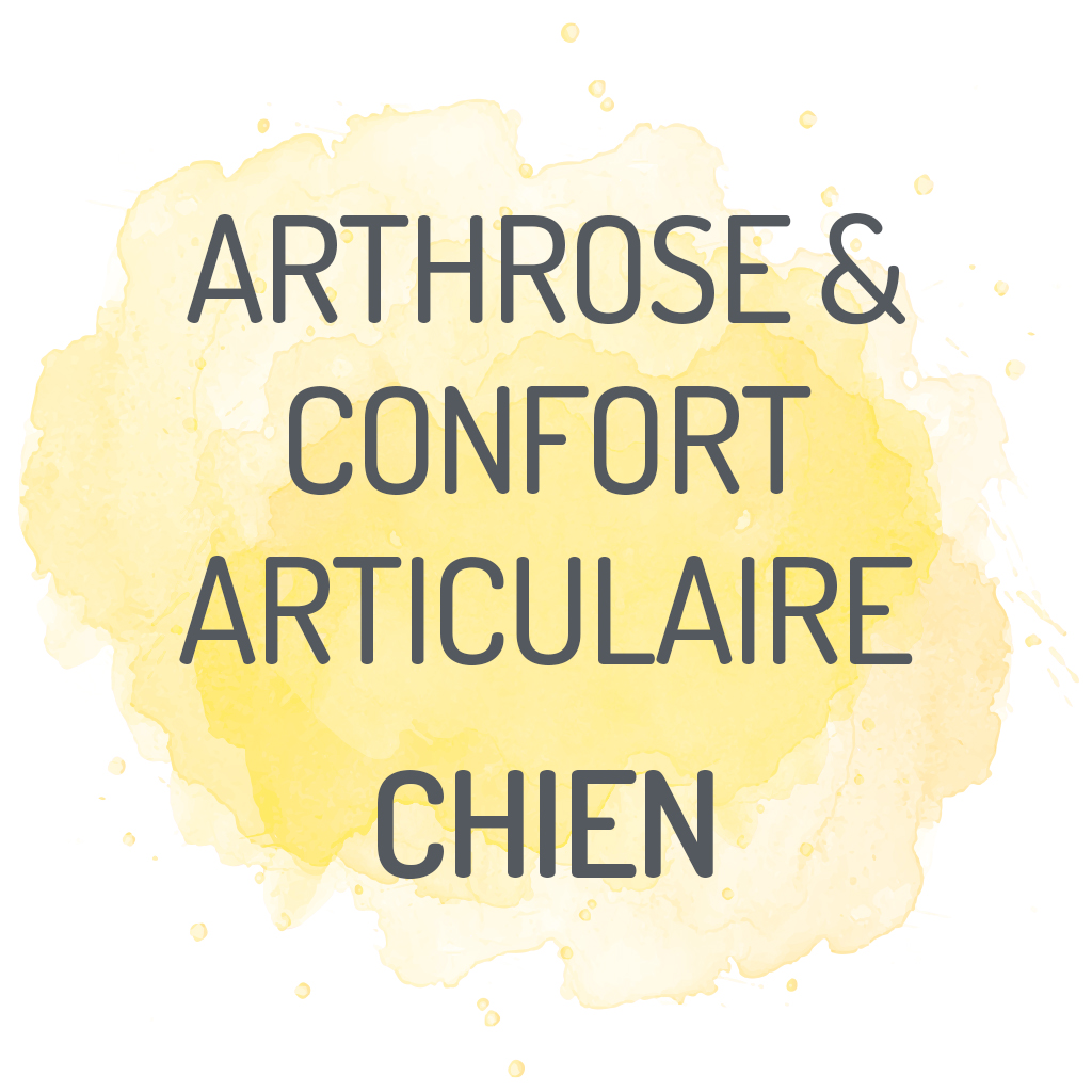 complements alimentaires arthrose mobilite confort articulaire chien