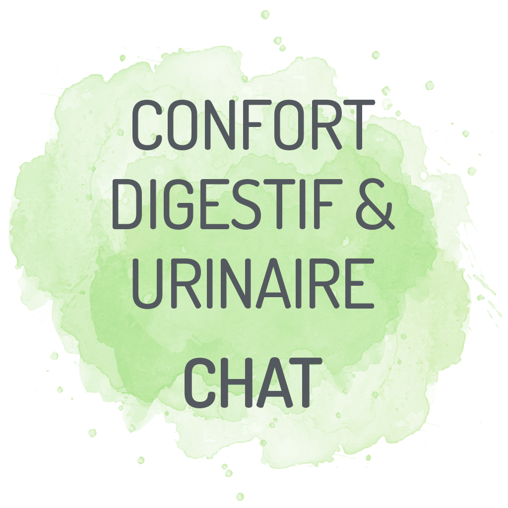 complements alimentaires digestion confort urinaire chat