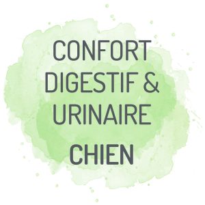 complements alimentaires digestion confort urinaire chien