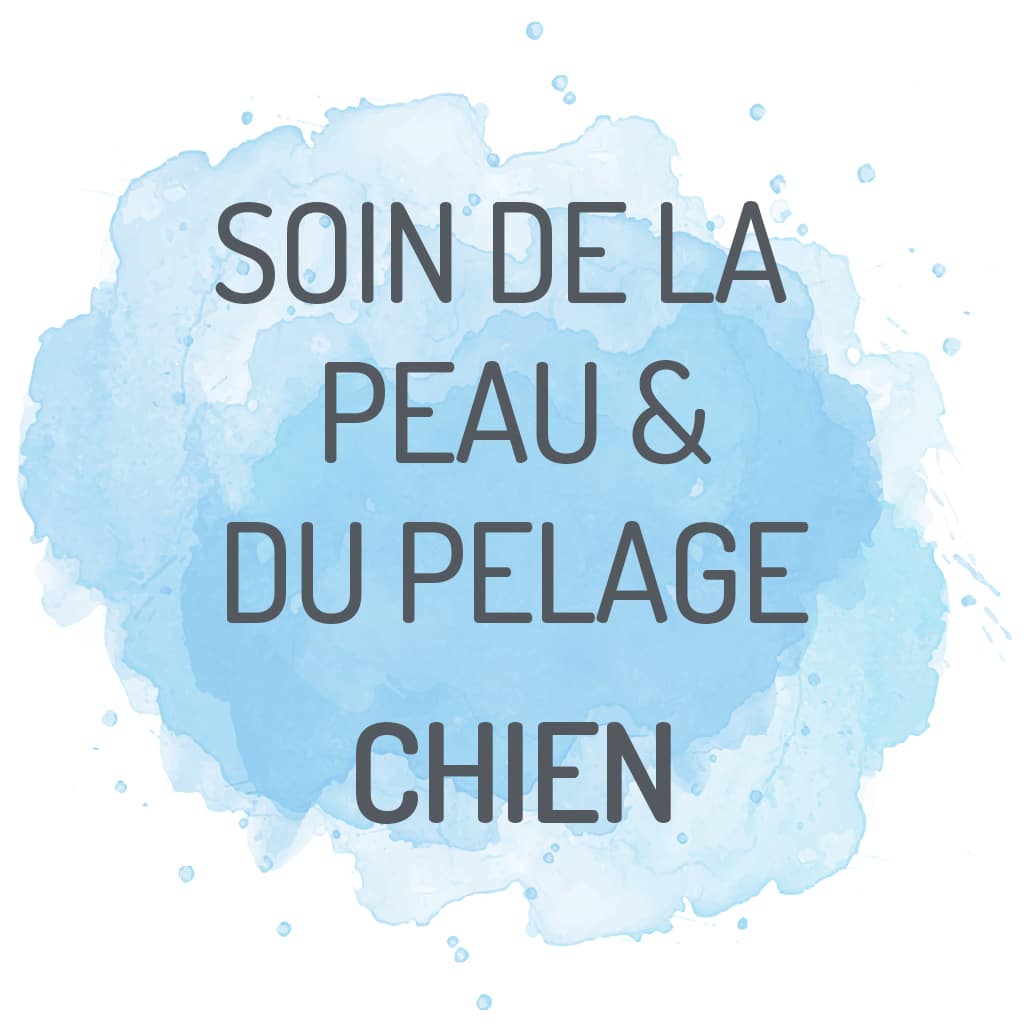 complements alimentaires peau pelage poils chien