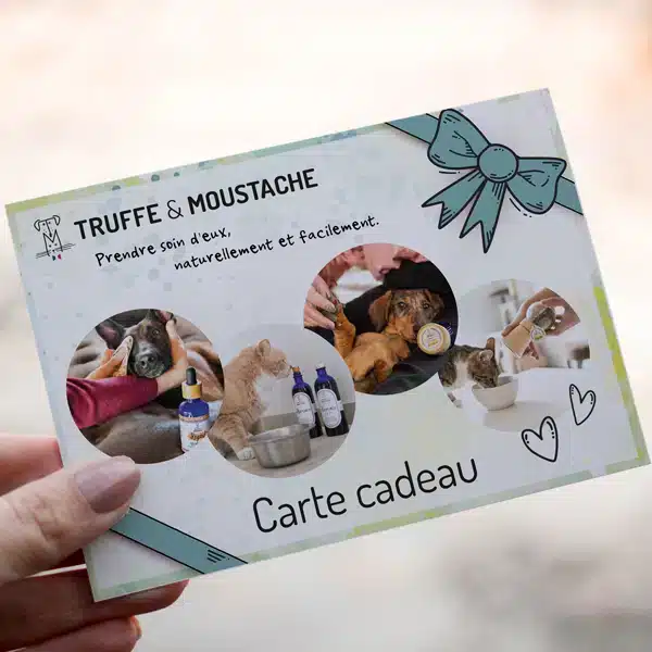 carte cadeau chien chat