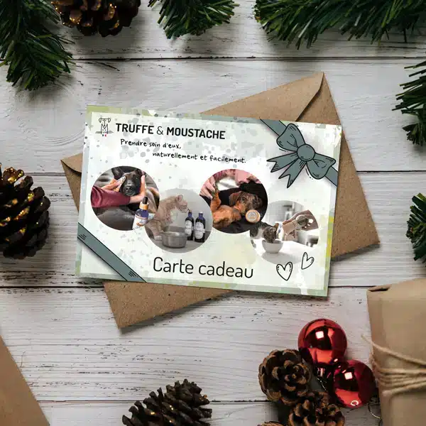 carte cadeau chien chat