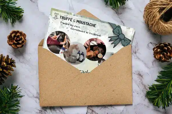  Carte cadeau  - Imprimer - Chien et chat à Noël: Gift  Cards