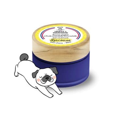 Hygiène Et Santé Du Chien - Baume Pattes Nez Animaux Chien Chat Protection  Coussinet Truffe Formule Hydratante