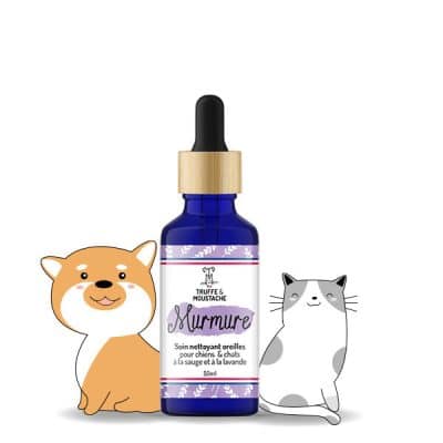 soin nettoyant naturel pour les oreilles des chiens et des chats