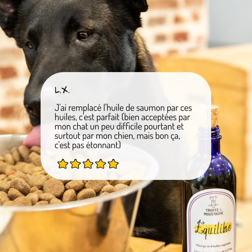 Duo d'huiles végétales équilibre et harmonie