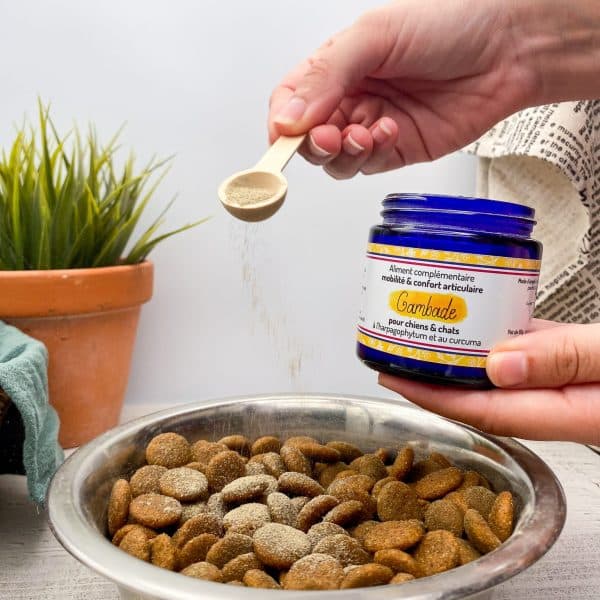 cure courte de phytothérapie, compléments alimentaires pour chiens et chats à base de plantes et d'extraits de plantes