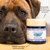 Cure courte compléments alimentaires Allure pour chien et chat