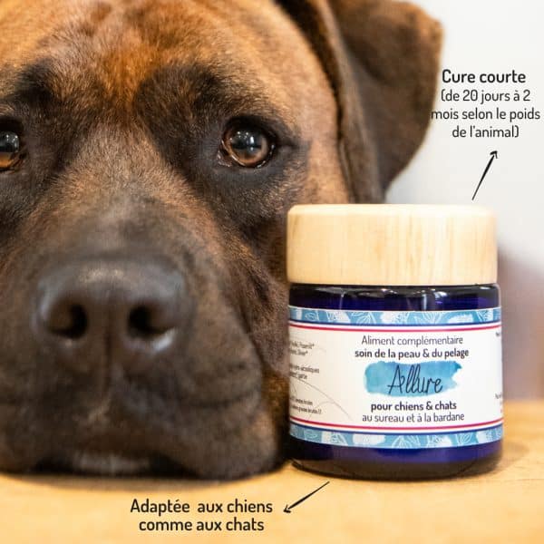 Cure courte compléments alimentaires Allure pour chien et chat