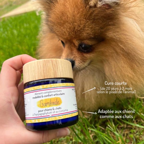 Cure courte compléments alimentaires Gambade pour chien et chat points forts