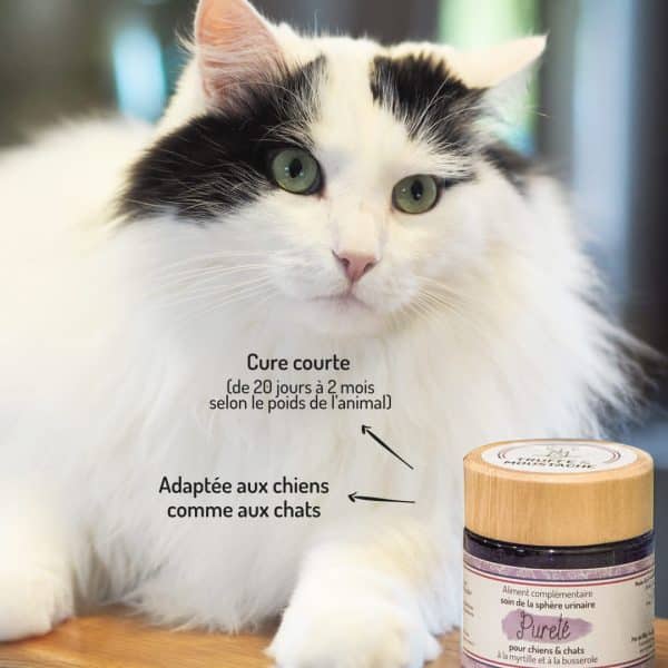 Cure courte compléments alimentaires Pureté pour chien et chat